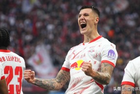 转会期欧冠焦点战，丹佛掘金回应争议，媒体盛赞，数据趋势出现新变化的简单介绍-乐鱼下载